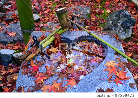 京都市左京区 安楽寺のハートのつくばい 97599473