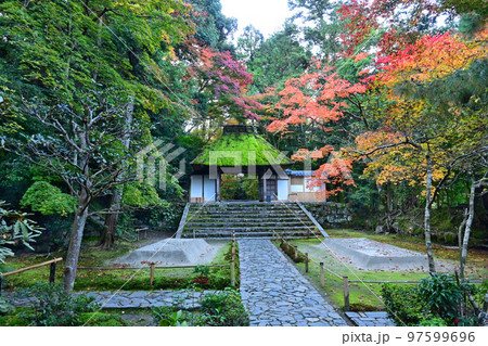 錦秋に参った京都市左京区の法然院庭園 97599696