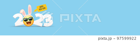 2023 Happy new year horizontal banner with funny smile face with rabbit ears and sunglasses isolated on blue background. 2023 new year banner, poster, flyer, cover with funny cute rabbit 2023 Happy new year horizontal banner with funny smile face with rabbit ears and sunglasses isolated on blue background. 2023 new year banner, poster, flyer, cover with funny cute rabbit 97599922