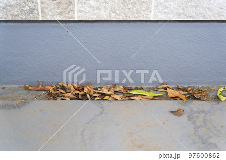 ベランダの溝の落ち葉 ベランダの溝の落ち葉 97600862