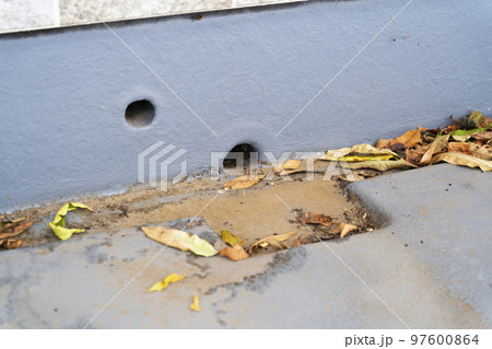 ベランダの溝の落ち葉 97600864