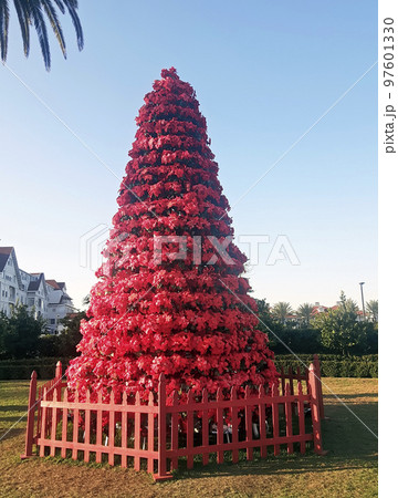 Beautiful Christmas tree 97601330