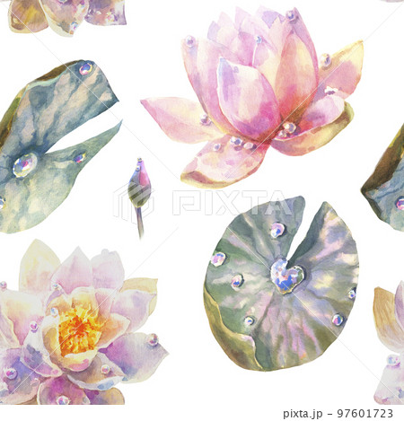 Watercolor Seamless Pattern with Romantic flowers of water lily on white background. 97601723