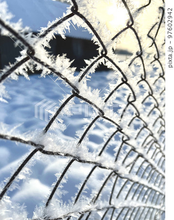 Metal mesh is covered with frost. Winter background, frosty weather. 97602942