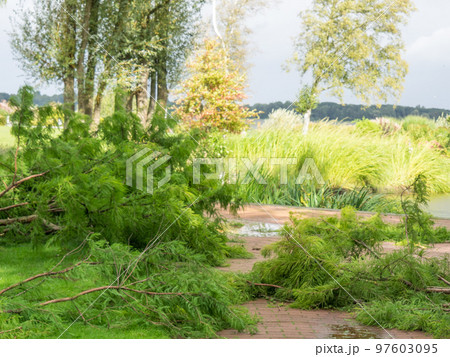 The city of Bad Zwischenahn at a lake in germany The city of Bad Zwischenahn at a lake in germany 97603095