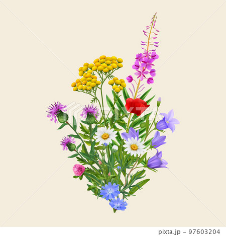 Realistic Wildflowers Bouquetのイラスト素材 [97603204] - PIXTA