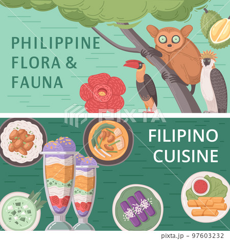 Philippines Travel Banner 97603232