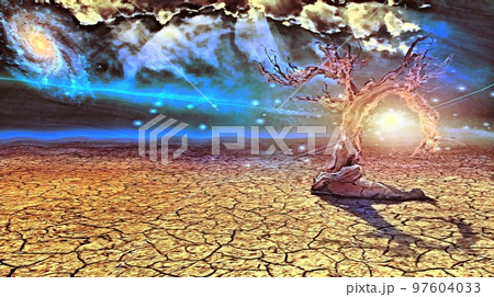 Old tree in arid land 97604033