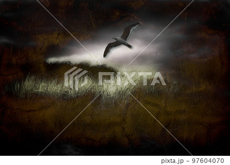 Seagull in dark landscape 97604070