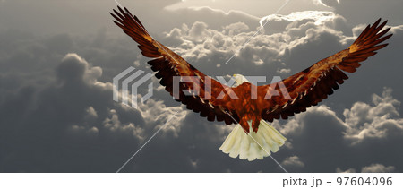 Eagle 97604096