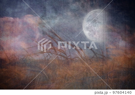Moon Fall over Field 97604140