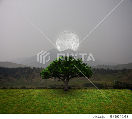 Tree of Life Tree of Life 97604143