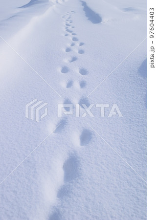 豪雪地方の雪景色 山形県庄内 豪雪地方の雪景色 山形県庄内 97604403