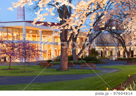 Campus Spring Time Landscape 97604814