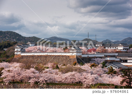 Himeji, Japan at Himeji Castle in Spring Season Himeji, Japan at Himeji Castle in Spring Season 97604861