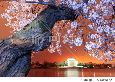Washington, DC at the Jefferson Memorial during Spring Washington, DC at the Jefferson Memorial during Spring 97604872