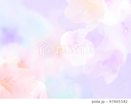 ほわほわの桜の背景 ほわほわの桜の背景 97605582