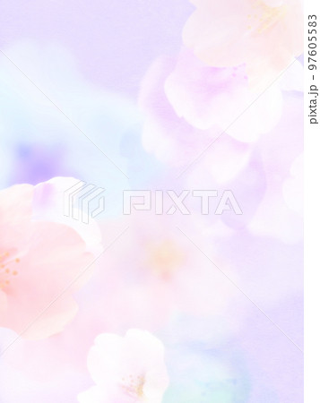 ほわほわの桜の背景 97605583