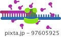 DNA合成のイメージ 97605925
