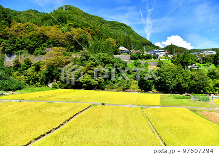 長野市戸隠栃原、戸隠祖山周辺(長野県長野市)【2022.9】 97607294