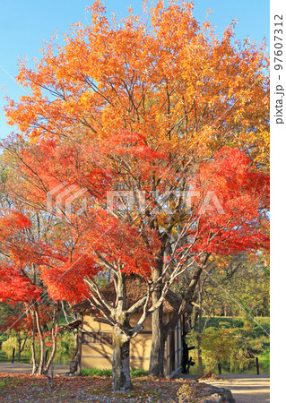 安曇野の秋　大王わさび農場の水車小屋 97607312