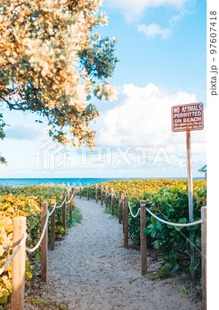 Sand trail to the beach in Florida Sand trail to the beach in Florida 97607418