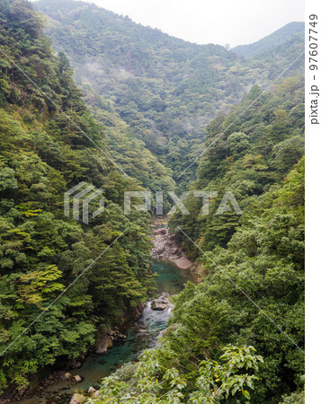 大杉峡谷の風景（渓谷） 97607749