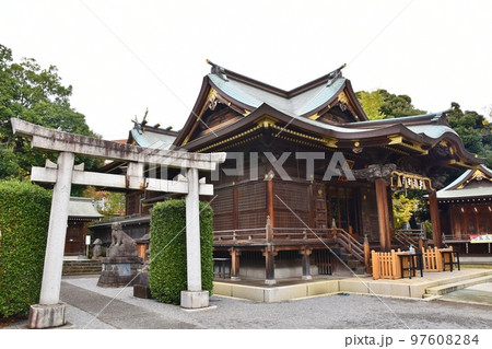 冬の赤羽八幡神社 東京 冬の赤羽八幡神社 東京 97608284