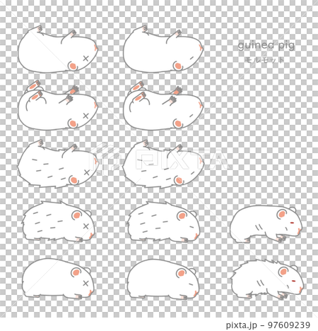 Vector illustration set of sick guinea pig (pet, for experiment) 97609239