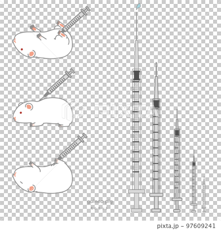 様々な大きさの注射器＆注射されているモルモットのベクターイラストセット 97609241