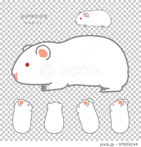 Nursing guinea pig Individual version Nursing guinea pig Individual version 97609244
