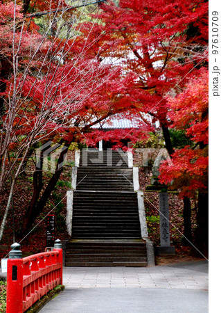 根来寺の紅葉（和歌山県・岩出市） 97610709