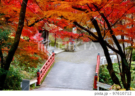 根来寺の紅葉（和歌山県・岩出市） 97610712