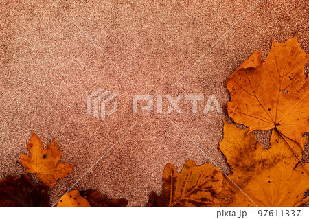 Yellow autumn leaves on a brown background autumn composition 97611337
