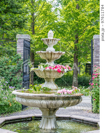 軽井沢の美しいガーデンに咲くバラ 97611784