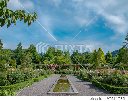 軽井沢の美しいガーデンに咲くバラ 軽井沢の美しいガーデンに咲くバラ 97611786