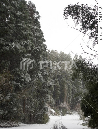 冬　雪　積雪　寒波　12月　1月　2月　スリップ　路面凍結 97613184
