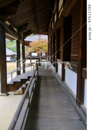 大伝法堂の紅葉・根来寺(和歌山県・岩出市) 大伝法堂の紅葉・根来寺(和歌山県・岩出市) 97613789