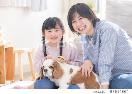 ファミリー ペットのお世話をする女の子とママ ファミリー ペットのお世話をする女の子とママ 97614364