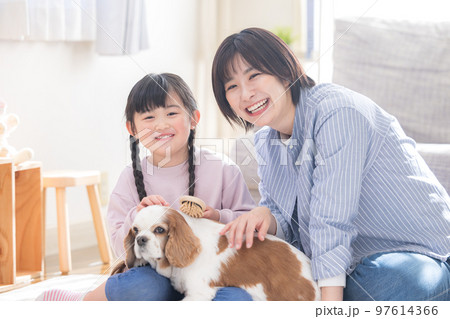 ファミリー ペットのお世話をする女の子とママ ファミリー ペットのお世話をする女の子とママ 97614366