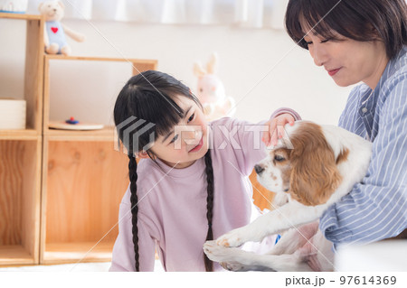 ファミリー ペットのお世話をする女の子とママ ファミリー ペットのお世話をする女の子とママ 97614369