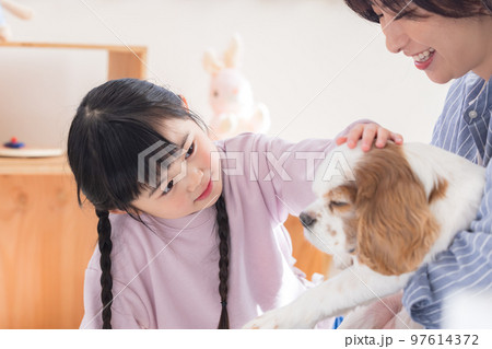 ファミリー　ペットのお世話をする女の子とママ 97614372