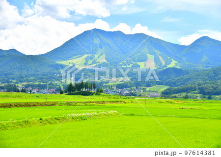 高社山／木島平スキー場方面を望む(長野県木島平村)【2022.8】 97614381