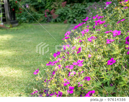 軽井沢の美しいガーデン 軽井沢の美しいガーデン 97614386