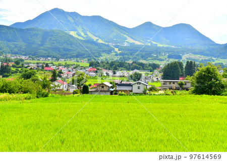 高社山/木島平スキー場方面を望む(長野県木島平村)【2022.8】 高社山/木島平スキー場方面を望む(長野県木島平村)【2022.8】 97614569