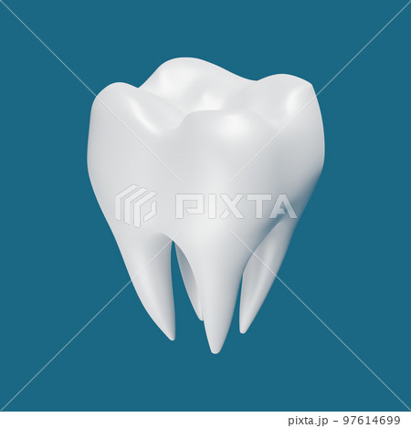 健康な奥歯 健康な奥歯 97614699
