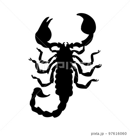 Scorpion Silhouette 97616060