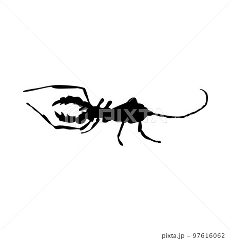 Scorpion Silhouette 97616062