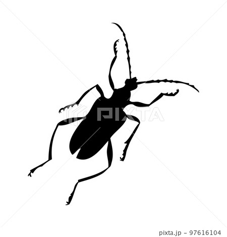 Beetle Silhouette Beetle Silhouette 97616104