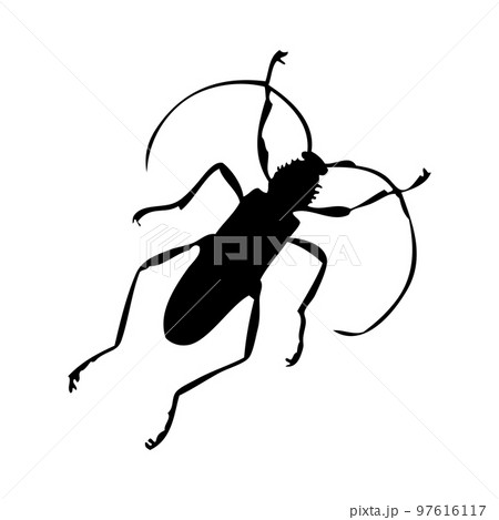 Beetle Silhouette 97616117